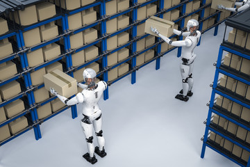 robots carry boxes