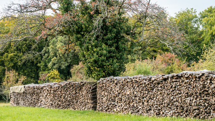 Brennholzlager im Herbst © focus finder