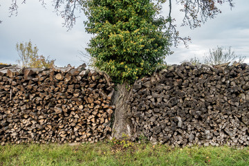 Brennholzlager im Herbst © focus finder