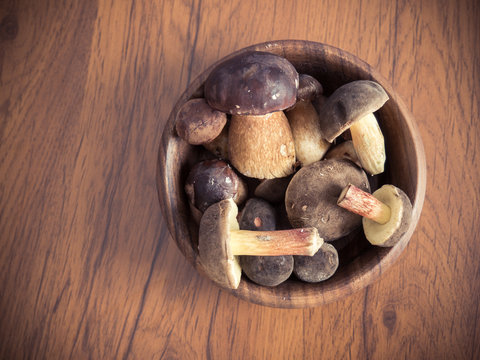Bowl full of mushrooms
