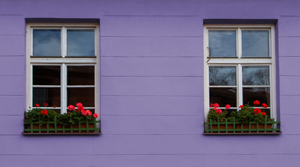 Fototapeta na wymiar Nice vintage windows with red flowers background