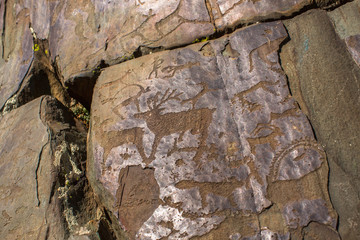 Petroglyphs of Altay. Ancient rock paintings in the Altai Mountains, Russia.