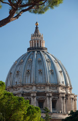 Fototapeta na wymiar Kuppel des Petersdoms in Rom, von Grün gerahmt