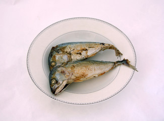 Two fried Mackerel in the white dish. a migratory surface-dwelling predatory fish, commercially important as a food fish.