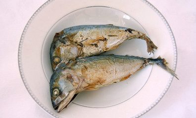 Two fried Mackerel in the white dish. a migratory surface-dwelling predatory fish, commercially important as a food fish.