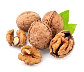 Walnuts isolated.