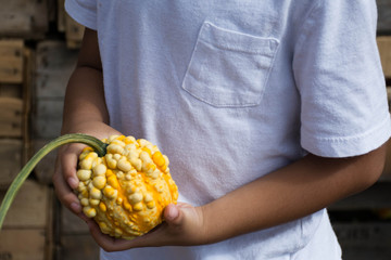Celebration for harvest