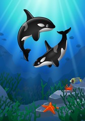 Obraz na płótnie Canvas Cartoon killer whale with Coral Reef Underwater in Ocean. Vector illustration