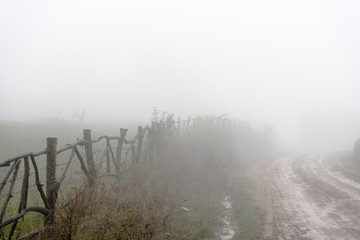 Uneven road, hedge, fog in the Armenian village closeup