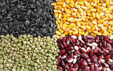 Different types of cereals and legumes, closeup