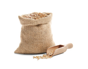 Bag and scoop with wheat grain on white background