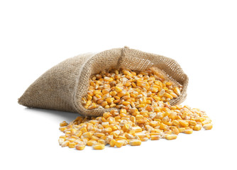 Bag with dried corn on white background