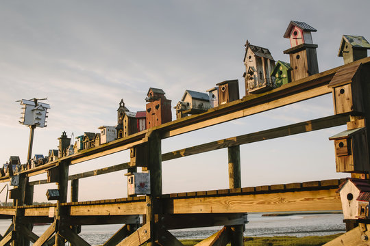 Got Birdhouses?