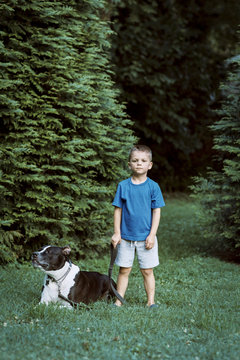 Boy and his dog portrait outdoors