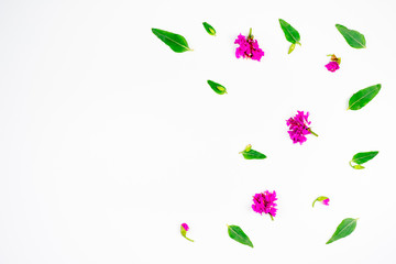 Obraz na płótnie Canvas Flowers composition image