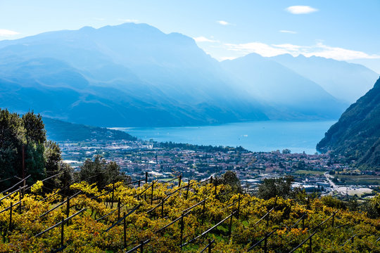 Blick zum Gardasee