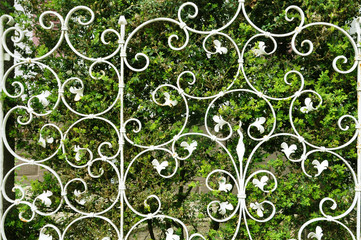 Decorative white fence with curls on the background of a green bush.
