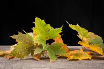 Autumn Leaves over wooden background