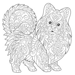 Coloring page of pomeranian, dog symbol of 2018 Chinese New Year. Freehand sketch drawing for adult antistress colouring book with doodle and zentangle elements.