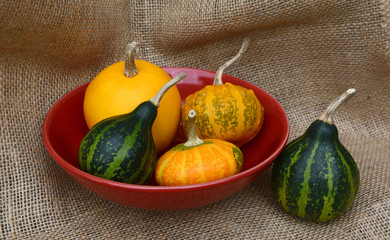 Small ornamental gourds in a red bowl