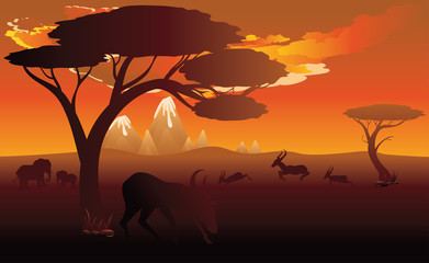 Fototapeta na wymiar Sunset Landscape with Antelopes