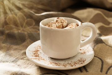 Cup of hot chocolate with marshmallows in the sunlight with copy cpase. Sweet treat.