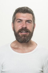 Obraz premium Guy or bearded man isolated on white background.