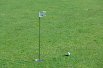 Obraz premium golf ball on green