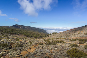 Sky and Forest Tenerife Canary Islands Spain Clouds Mountains Winter Landscape