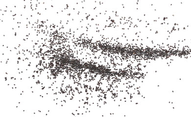 Poppy seeds isolated on white background and texture, top view