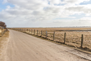 Fototapeta premium Der Weg in die Natur in Heiligenhafen