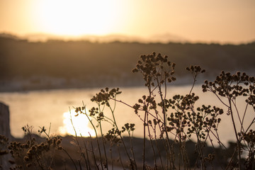 Obraz premium Cala Ratjada