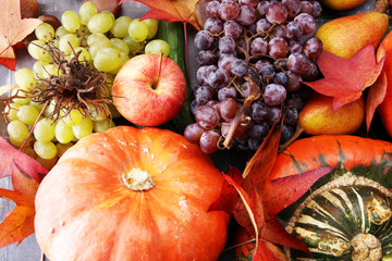 Autumn harvest seasonal fruits and vegetables on grey background.