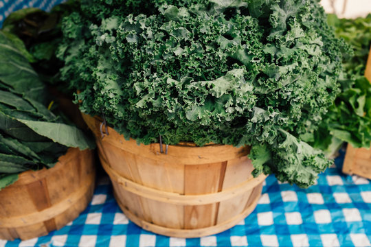 Baskets of kale at the farmers market