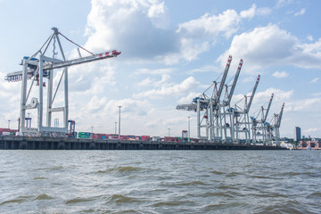 Obraz premium Ausblick auf Kräne und Elbe im Hamburger Hafen