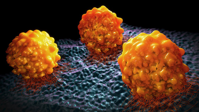 3d illustration of cancer cells