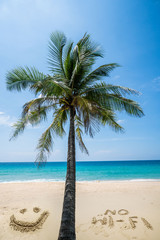 Palm tree and no wi-fi writing on the beautiful sandy beach over blue sea and sky background