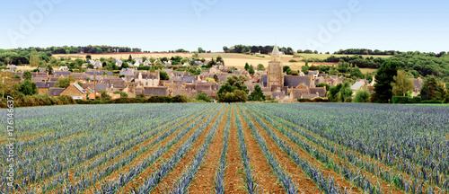 Village de Saint-Suliac . Bretagne. France