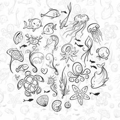 sea and ocean creatures