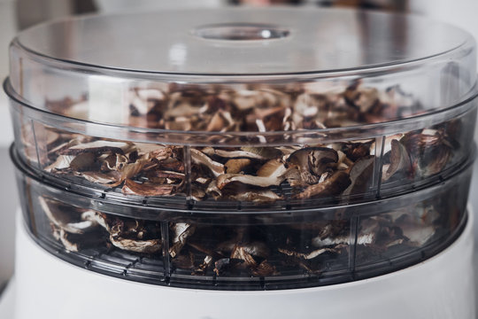 Digital Food Dehydrator Drying Mushrooms