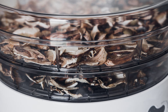 Digital Food Dehydrator Drying Mushrooms