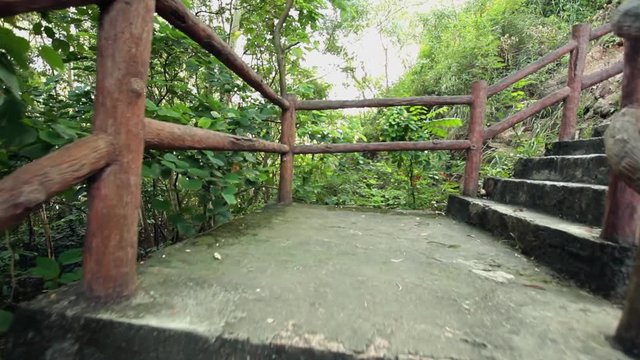 Stone stairways in tropical park; steadicam shot, camera moves up; Guangdong province, China;
