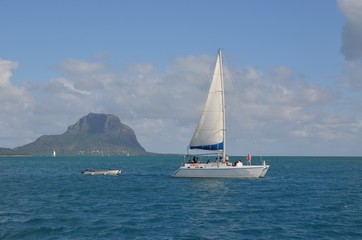 Volier devant le Morne Brabant, montagne de l'île Maurice, Océan indien