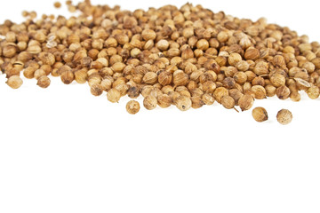Coriander seeds on a white background
