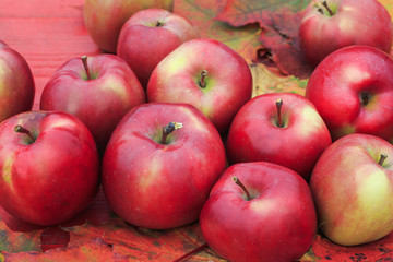 lot of red apples lie on a wooden table on colorful maple leaves in autumn garden