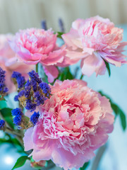 Beautiful pink peony and lavender flowers against blurred background.