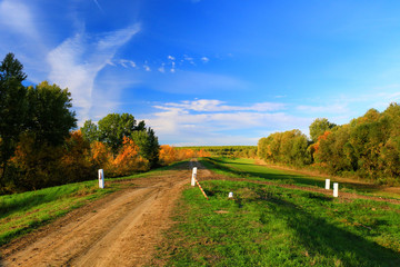 early autumn dirty road and colourful trees
