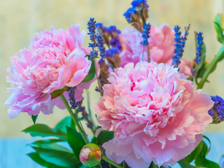 Beautiful pink peony and lavender flowers against blurred background.