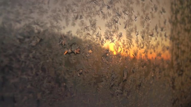 CLOSE UP DOF: Beautiful icy flowers on frosty window glittering in golden rising sun. Hoarfrost ice crystals on window glass sparkling at winter sunrise. Looking winter sunset through frozen window.