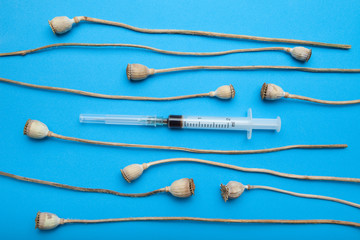 Dry poppy heads and injection syringe with heroin on a blue background.